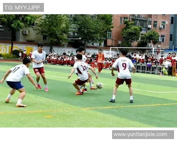 追随足球明星的激情与梦想点燃青春的热血之旅