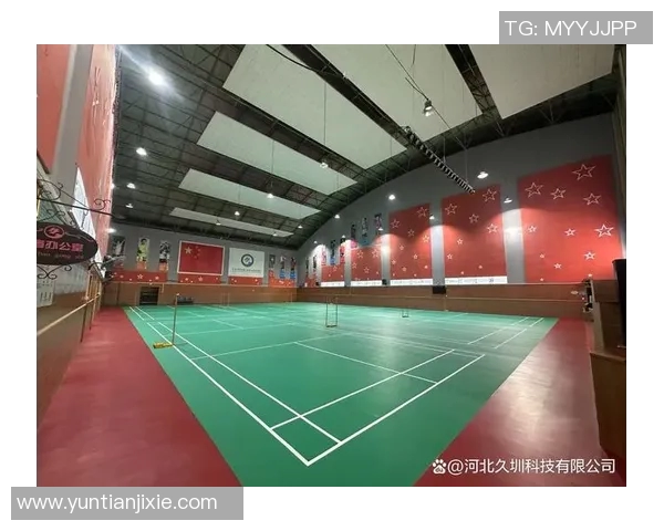 探索仙桃体育运动地板品牌的优势与选择指南助您打造理想运动空间